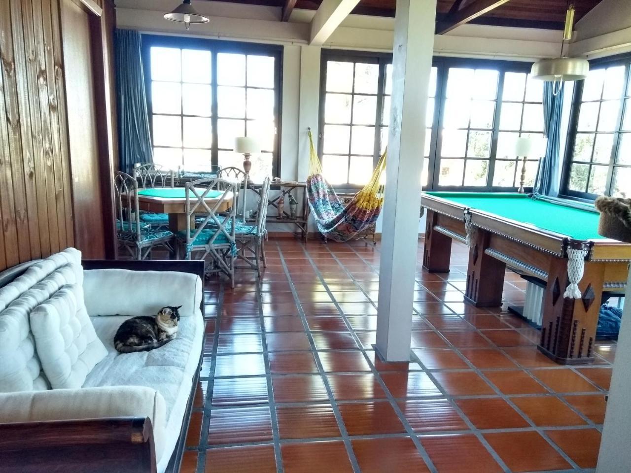 The Cats' House *